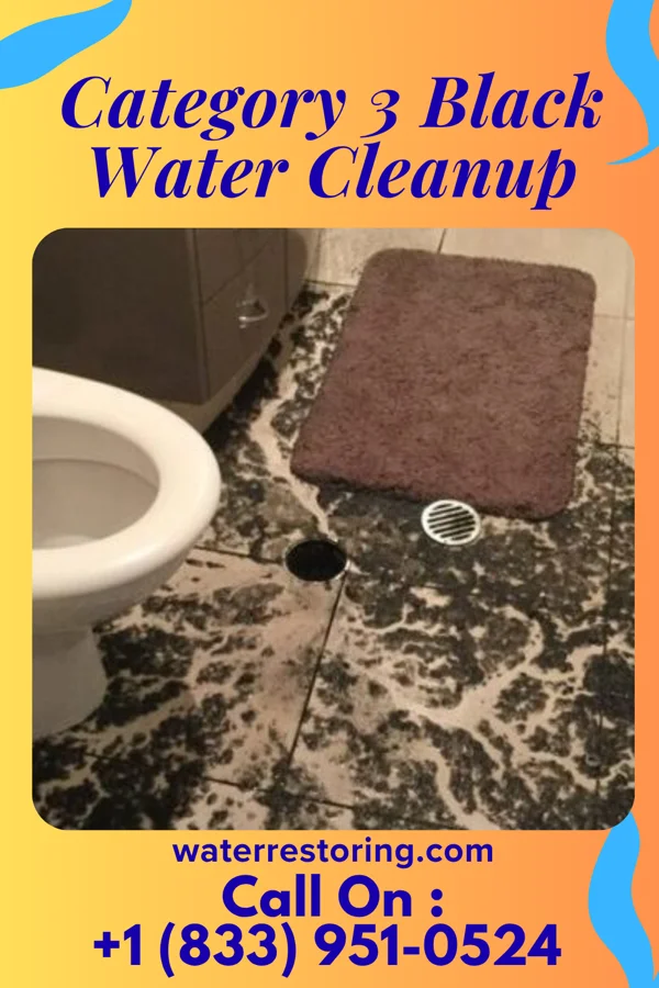 Category 3 Black Water Cleanup in West New York, NJ