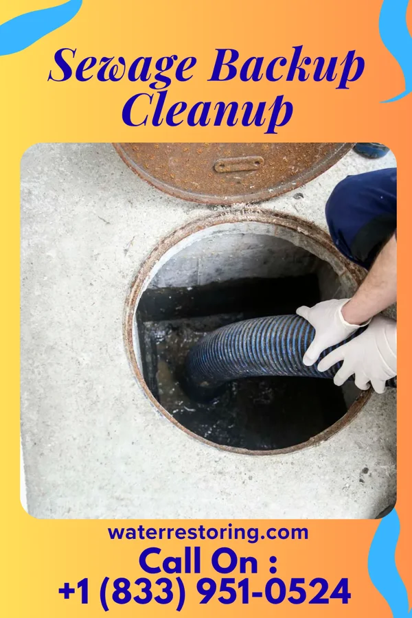 Sewage Backup Cleanup in West New York, NJ