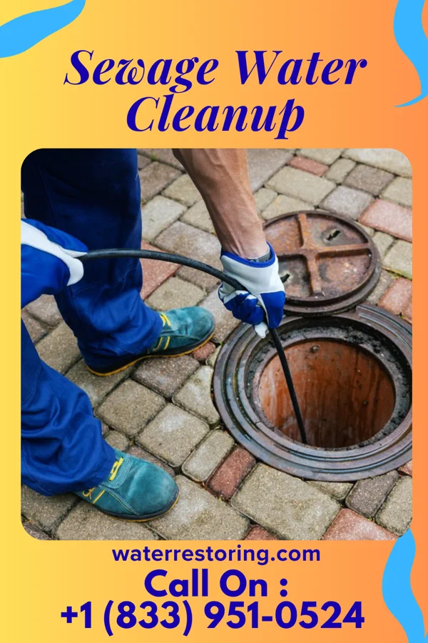 Sewage Water Cleanup in West New York, NJ