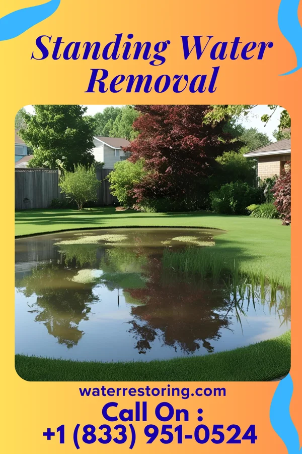 Standing Water Removal in West New York, NJ